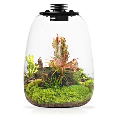 Bioloark Bio Bottle QD205 cm21,7x26h - terrario...