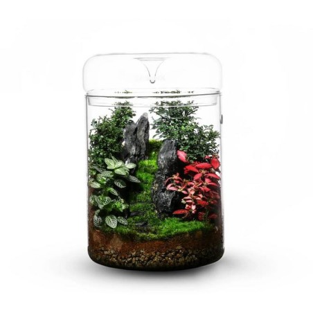 Bioloark Luji Glass Cup MY-180H cm18x26,5h - terrario in vetro con coperchio e sistema di recupero dell'acqua