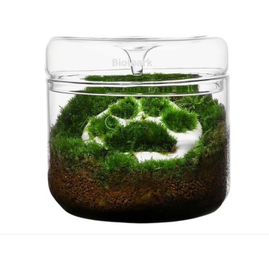 Bioloark Luji Glass Cup MY-150 cm15x16h -...