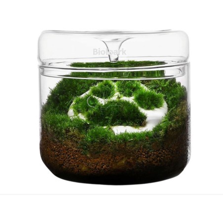 Bioloark Luji Glass Cup MY-150 cm15x16h - terrario in vetro con coperchio e sistema di recupero dell'acqua