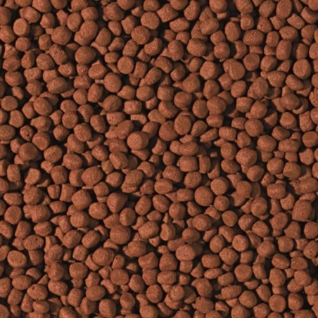 Tropical Cichlid Carnivore Medium Pellet