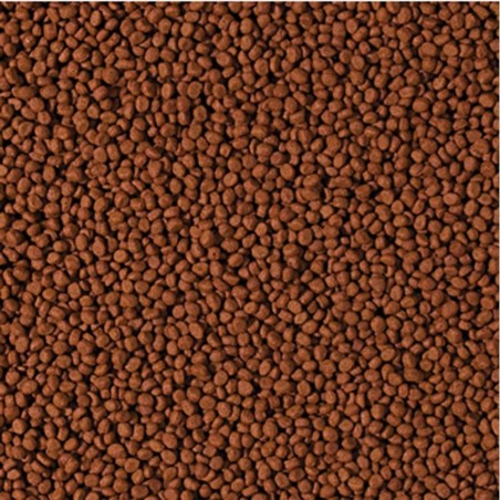 Tropical Cichlid Carnivore Small Pellet Tropical Cichlid Carnivore Small Pellet
