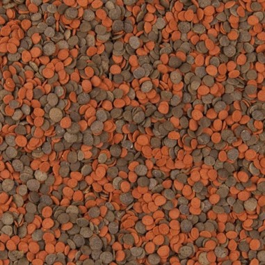 Tropical Cichlid Chips - mangime per ciclidi per intensificare i colori