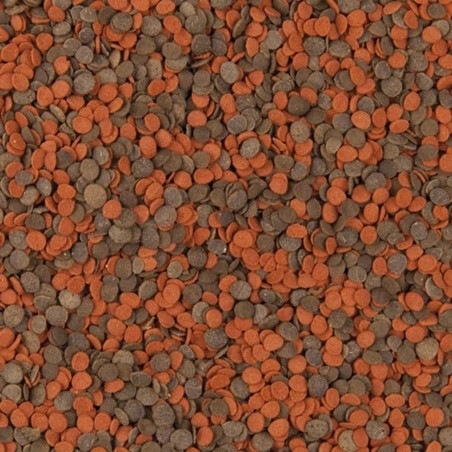 Tropical Cichlid Chips - mangime per ciclidi per intensificare i colori Tropical Cichlid Chips - mangime per ciclidi per intensificare i colori