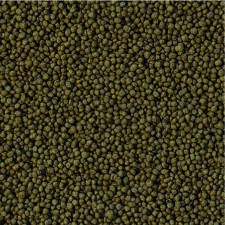 Tropical Cichlid Herbivore Small Pellet - Alimentazione Base per Ciclidi Erbivori Tropical Cichlid Herbivore Small Pellet - Alimentazione Base per Ciclidi Erbivori