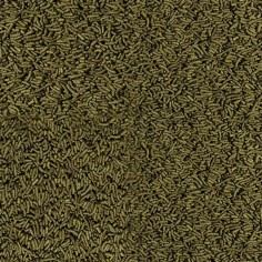 Tropical Cichlid Spirulina Medium Sticks - stick vegetali con spirulina per Ciclidi di taglia media 2