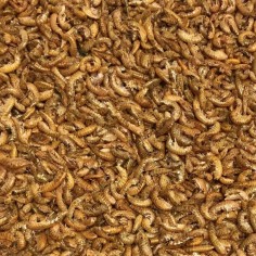 Tropical FD River Shrimps 100ml/10gr - Gamberetti Liofilizzati 2