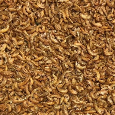 Tropical FD River Shrimps 100ml/10gr - Gamberetti Liofilizzati