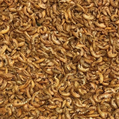 Tropical FD River Shrimps 100ml/10gr - Gamberetti Liofilizzati Tropical FD River Shrimps 100ml/10gr - Gamberetti Liofilizzati