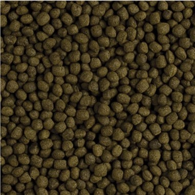 Tropical Flower Horn Adult Pellet - mangime Altamente proteico per Flower Horn adulti
