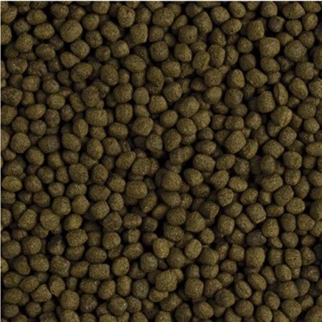 Tropical Flower Horn Adult Pellet - mangime Altamente proteico per Flower Horn adulti Tropical Flower Horn Adult Pellet - mangime Altamente proteico per Flower Horn adulti