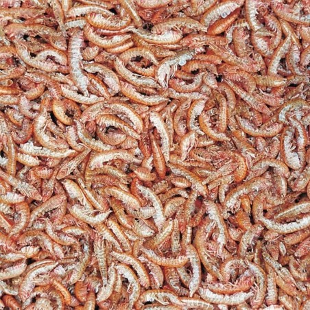 Tropical Gammarus - gamberetti essiccati per tartarughe, testuggini e pesci ornamentali di taglia grande