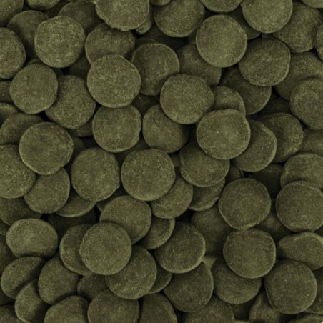 Tropical Hi-Algae Discs XXL 250ml/125gr - Pastiglie Vegetali per Pesci da Fondo di Grandi Dimensioni Tropical Hi-Algae Discs XXL 250ml/125gr - Pastiglie Vegetali per Pesci da Fondo di Grandi Dimensioni