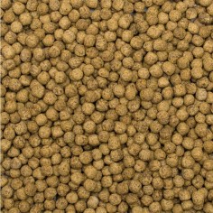 Tropical Koi Silkwork & Astaxanthin Size M 1000ml/320gr - Mangime premium per la crescita e la colorazione 2