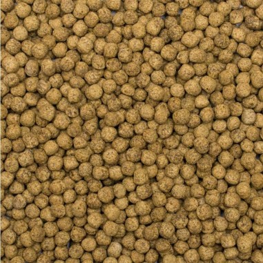 Tropical Koi Silkwork & Astaxanthin Size M 1000ml/320gr - Mangime premium per la crescita e la colorazione
