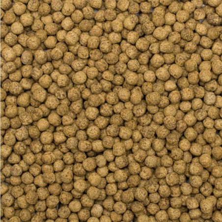 Tropical Koi Silkwork & Astaxanthin Size M 1000ml/320gr - Mangime premium per la crescita e la colorazione Tropical Koi Silkwork & Astaxanthin Size M 1000ml/320gr - Mangime premium per la crescita e la colorazione