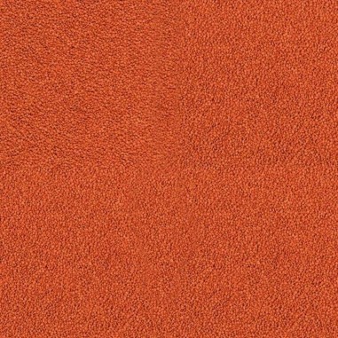 Tropical Krill Gran - mangime in granuli per pesci super-gustoso, per intensificare la colorazione, con krill