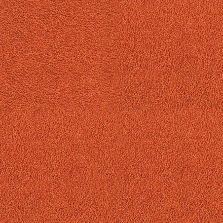 Tropical Krill Gran - mangime in granuli per pesci super-gustoso, per intensificare la colorazione, con krill