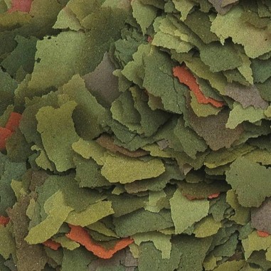 Tropical Malawi Flakes