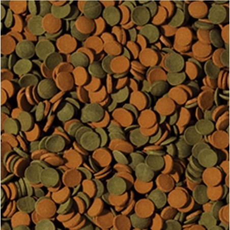 Tropical Mini Wafer Mix