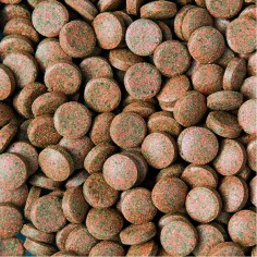 Tropical Nanovit Tablets 10gr/70pz - mangine base in tablet per piccoli pesci 2