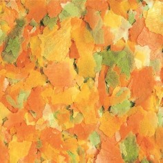 Tropical Pond Koi & Goldfish Pond Flakes - mangime in scaglie per piccoli pesci da laghetto 2