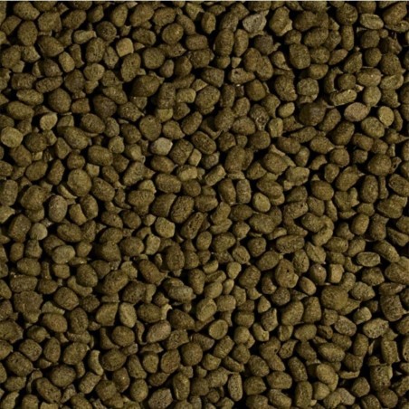 Tropical Pond koi Spirulina Pellet Size M 1000ml/350gr - Mangime super premium con spirulina granulometria medio grande Tropical Pond koi Spirulina Pellet Size M 1000ml/350gr - Mangime super premium con spirulina granulometria medio grande