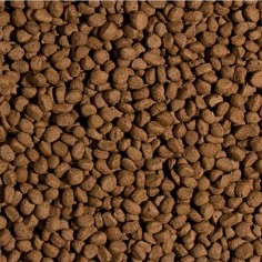 Tropical Pond koi Wheat Germ & Garlic Pellet Size M 1000/350gr 2
