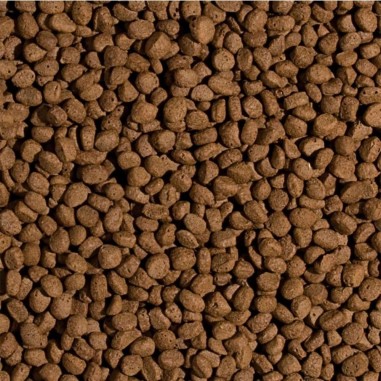 Tropical Pond koi Wheat Germ & Garlic Pellet Size M 1000/350gr