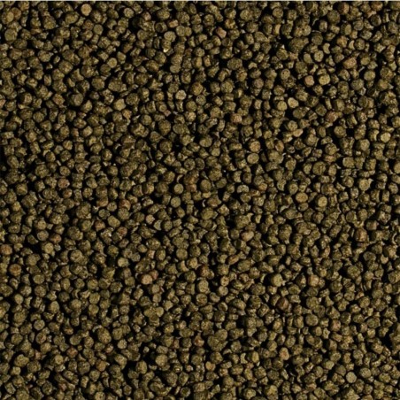 Tropical Pond koi Wheat Germ & Garlic Pellet Size S 1000ml/400gr
