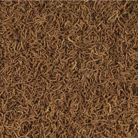 Tropical Red Mico 100ml - Larve di Chironomus liofilizzate Tropical Red Mico 100ml - Larve di Chironomus liofilizzate