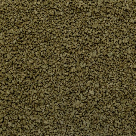 Tropical Spirulina Granulat - mangime vegetale granulato con elevato contenuto in alghe Spirulina Tropical Spirulina Granulat - mangime vegetale granulato con elevato contenuto in alghe Spirulina