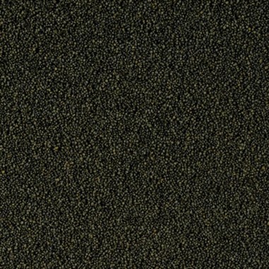 Tropical Spirulina Super Forte Mini Granulat