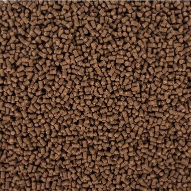 Tropical Sterlet Basic size S busta da 1L/500gr - mangime base per Storioni