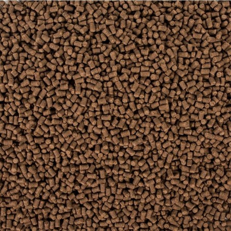 Tropical Sterlet Basic size S busta da 1L/500gr - mangime base per Storioni Tropical Sterlet Basic size S busta da 1L/500gr - mangime base per Storioni