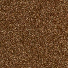 Tropical Triops doypack 10gr - mangime in granuli affondanti per Triops 2