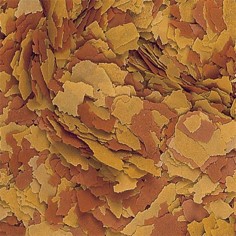 Tropical Vitality & Color Flakes 2