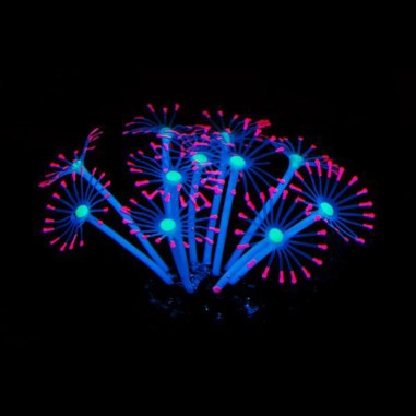 AQL Decor Fluo modello 12P cm11x11x8h - decorazione in silicone fluorescente