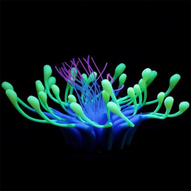 AQL Decor Fluo modello 18B cm15x15x6h - decorazione in silicone fluorescente