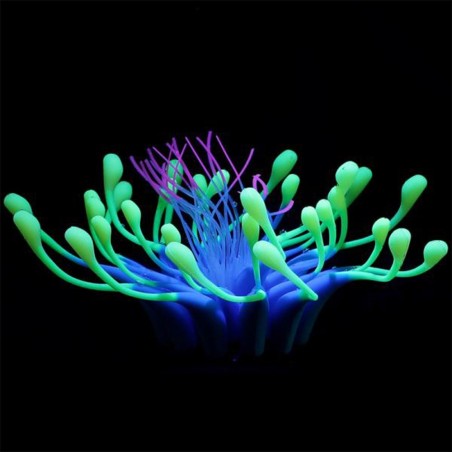 AQL Decor Fluo modello 18B cm15x15x6h - decorazione in silicone fluorescente