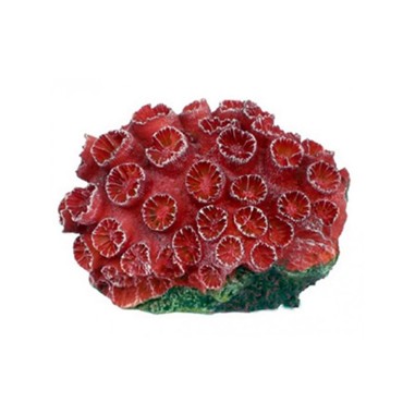 AQL Decorazione Corallo in Resina Modello Tubastrea Red Small cm8x6x4h