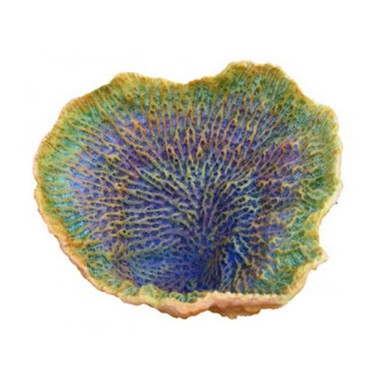 AQL Decorazione Corallo in Resina Modello Turbinaria 2 cm17x14x11h