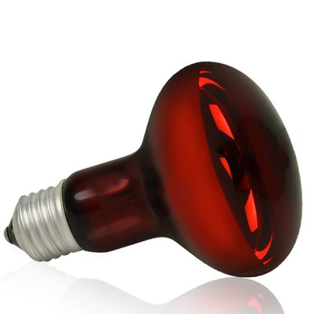 AQL Terra NightHeat Lamp Attacco E27 - Lampada riscaldante notturna per terrari AQL Terra NightHeat Lamp Attacco E27 - Lampada riscaldante notturna per terrari