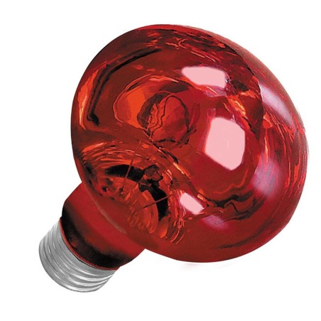 AQL Terra NightHeat Lamp Attacco E27 - Lampada riscaldante notturna per terrari