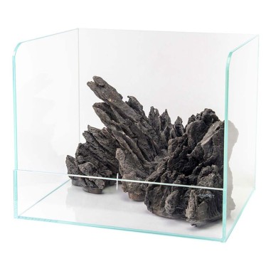 Aqpet Swamp 40 - paludario in vetro extrachiaro cm40x30x35h