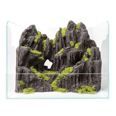 Aqpet Swamp 50 - paludario in vetro extrachiaro cm50x35x40h