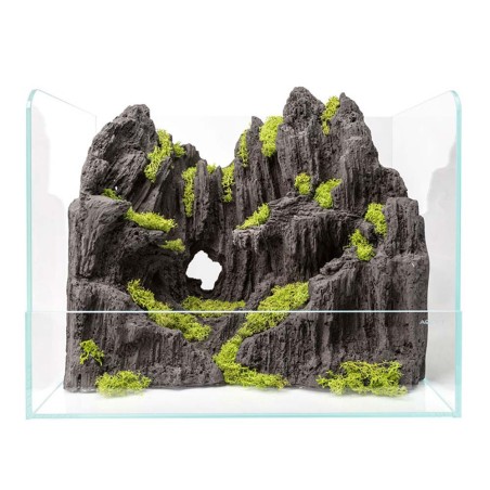Aqpet Swamp 50 - paludario in vetro extrachiaro cm50x35x40h