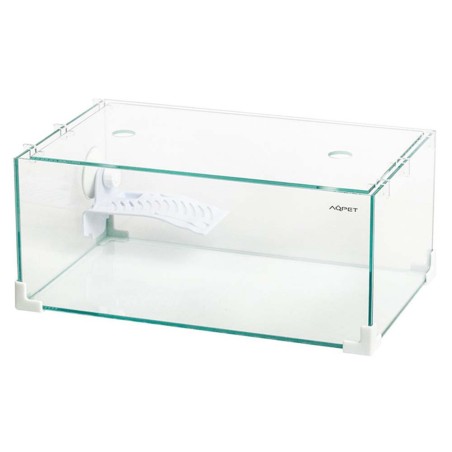 Aqpet Tortuga 40 - tartarughiera cm40x24x17h con coperchio e isolotto