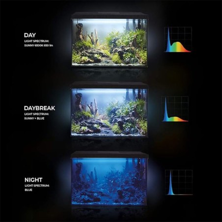 Aquael Aquarium Set Leddy 40XL Day&Night Nero - acquario cm41X25X35h completamente accessoriato Aquael Aquarium Set Leddy 40XL Day&Night Nero - acquario cm41X25X35h completamente accessoriato