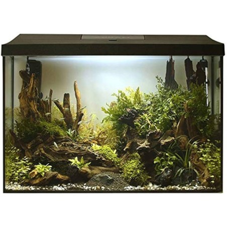 Aquael Aquarium Set Leddy 60XL Day&Night Nero - acquario cm60X30X40h completamente accessoriato Aquael Aquarium Set Leddy 60XL Day&Night Nero - acquario cm60X30X40h completamente accessoriato
